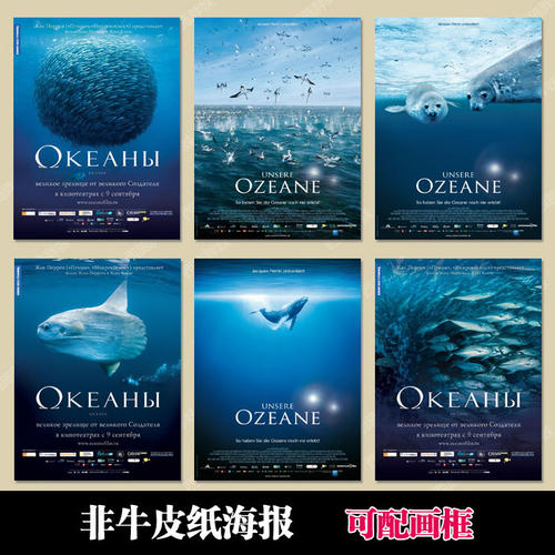不动产证明去哪里开